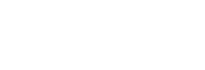 FischerLink Consulting